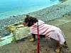 Widdicombe Farm Touring Park: Layla enjoying the view at Babbacoome Beach (photo added on 09/17/2023)