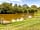 Gadlas Park Holiday Cabins