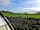 Orcaber Caravan and Camping Site: Fabulous views over towards the Forest of Bowland (photo added by manager on 20/02/2017)