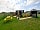 Westerby Farm Caravan and Campsite: Bumble