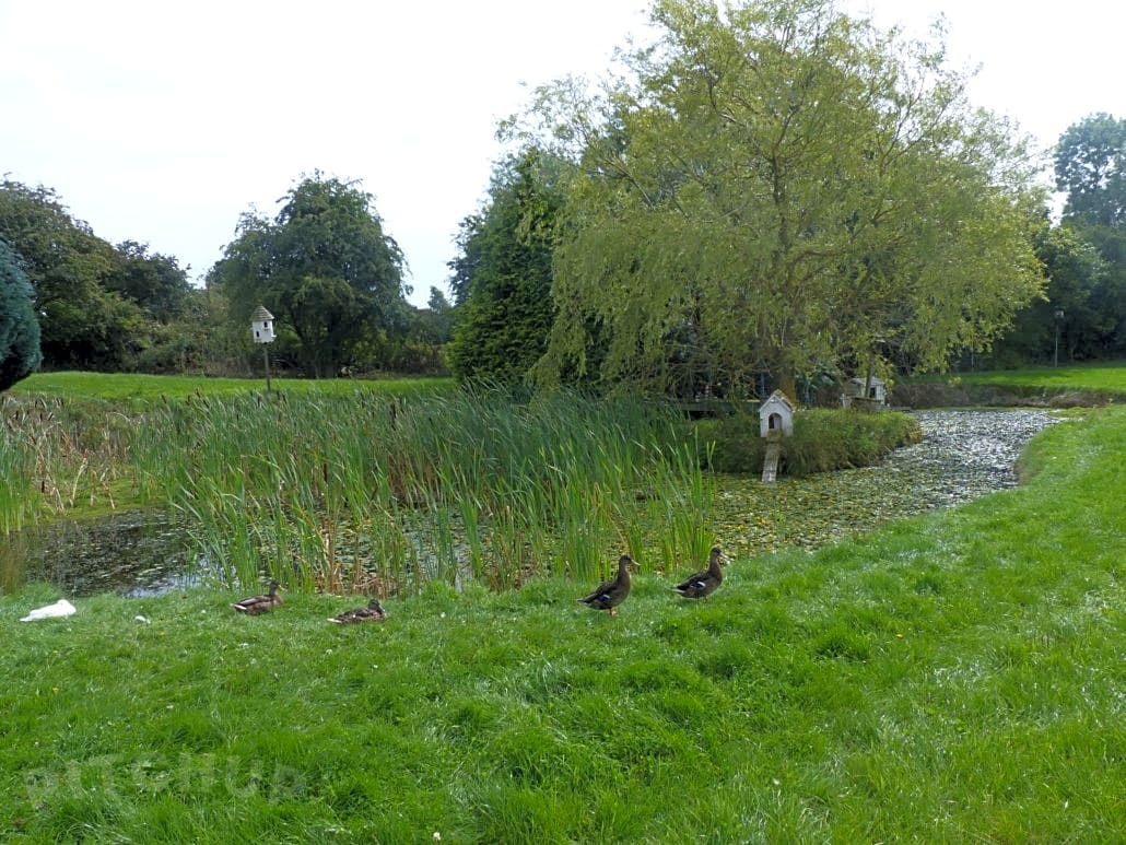 Prospect Farm, Grimsby Pitchup®