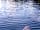 Salhouse Broad's Camping Corner: Explore by canoe