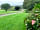 Ducklings Den: Track from the tent down to the duck pond and car park