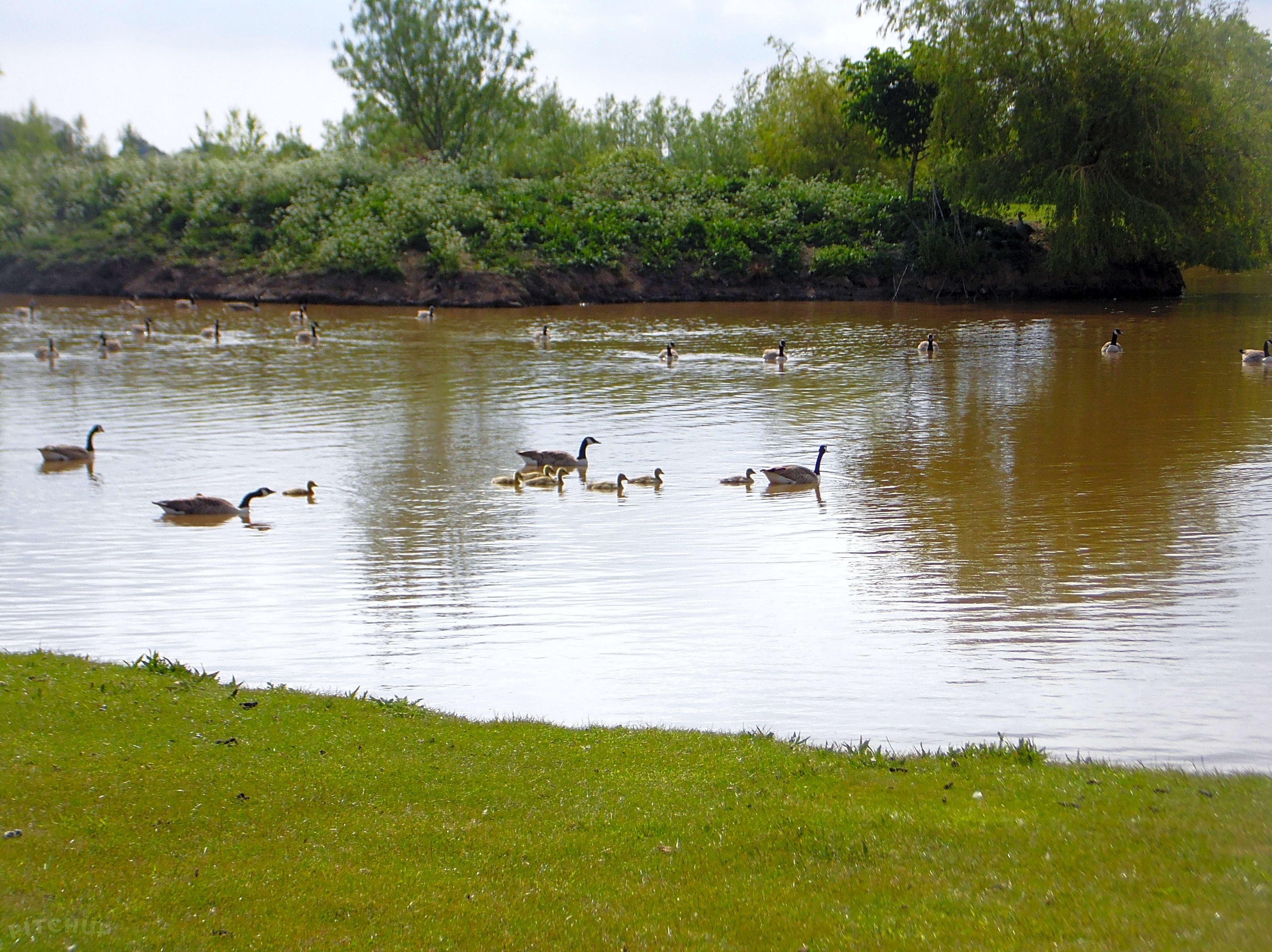 Lakeside Farm Naturist Holidays, Spilsby - Pitchup®