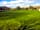 Crosshands Log Pods: Grassy pitches (photo added by manager on 25/02/2022)
