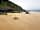 Thornbury Holiday Park: The beautiful beech at Padstow