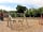 South Meadows Caravan Park: Play park infant swings