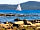Camping Ugljan Resort: Blick aufs Meer vom Hundestrand (photo added by  on 16/07/2022)
