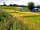 Bredon-Vale Caravan and Camping: Pitches separated with wild long grass for a natural feel