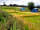 Bredon-Vale Caravan and Camping (фото добавлено менеджером 10.01.2022)