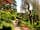 Constable Burton Hall Caravan Park: The Hall gardens are open to the public, 200 yards from the caravan park