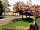 Midshires Way Campsite and Alpaca Farm