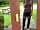 Star Glamping: Reflection in the pod doorway