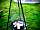 Moss Rose Campsite