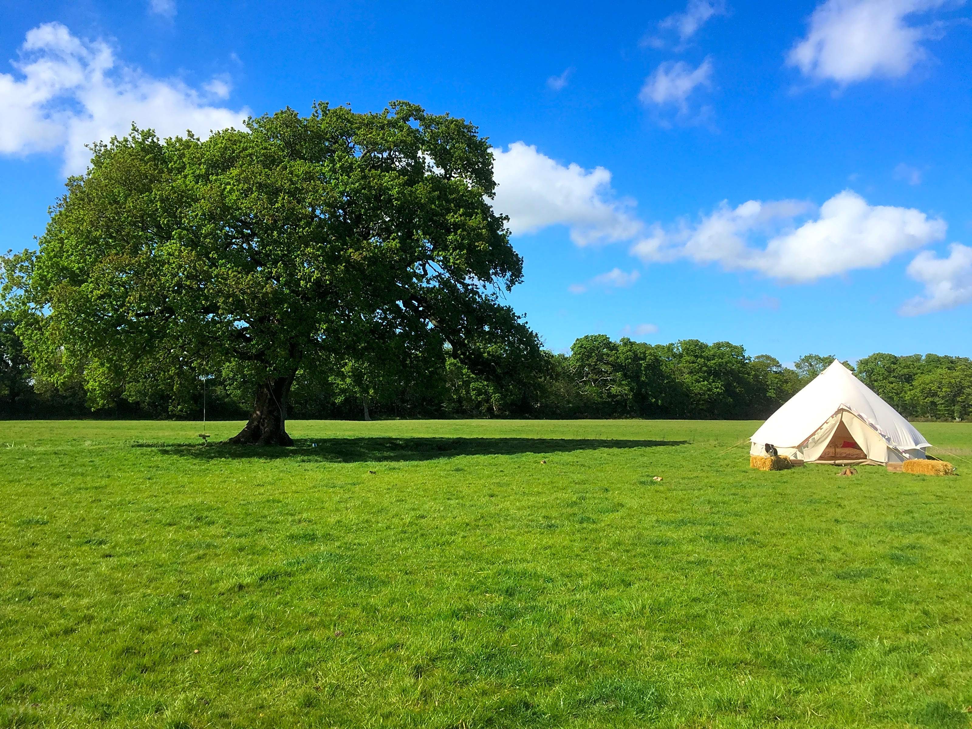 Snelling Farm Campsite Wareham Pitchup
