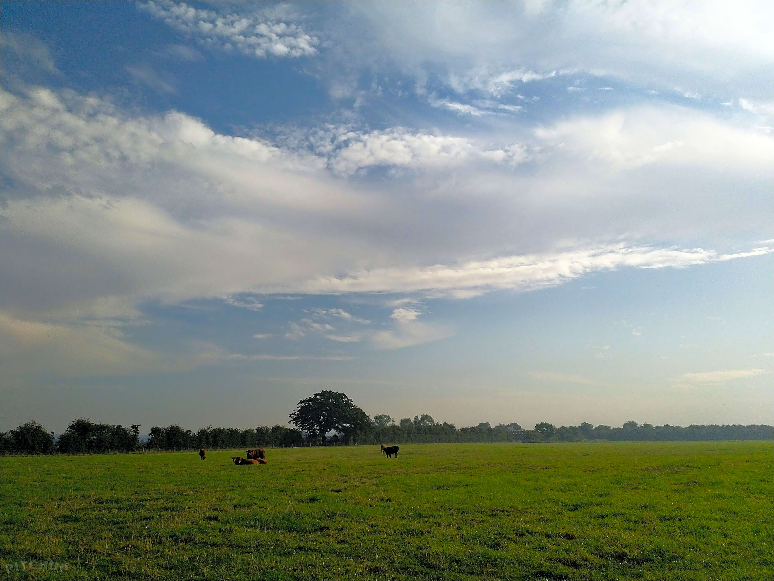 New Farm Holidays, Boston - Updated 2020 prices - Pitchup®