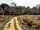 Setthorns Campsite: New  Forest