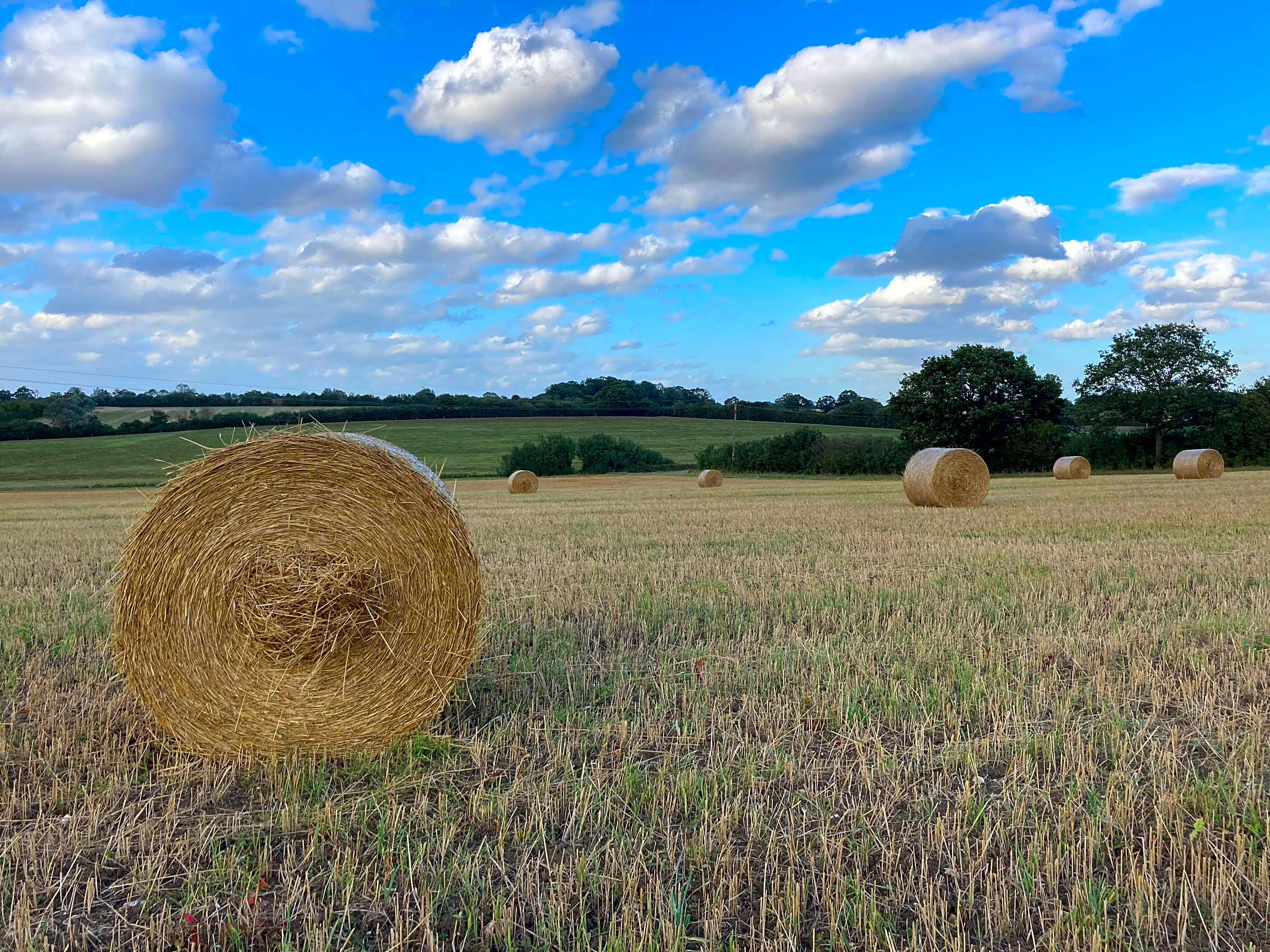 Camp Green, Stowmarket Pitchup®