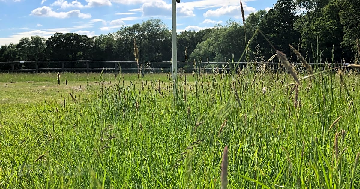 Sands Farm Weekend Camping, Horsham Updated 2021 prices Pitchup®