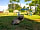 Huntick Farm Caravan Park: Campsite (photo added by  on 26/06/2023)