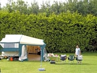 Parcel·la de gespa amb electricitat opcional per a tenda de campanya