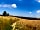 Rowbury Farm Camping: Summer on the footpath