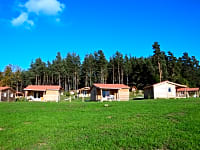 Chalets surrounded by woodland Chalets surrounded by woodland