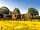 Ockeridge Rural Retreats: Abberley shepherd's hut (photo added by manager on 31/08/2023)