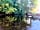 Riverside Caravan and Camping Park: The river Irfon
