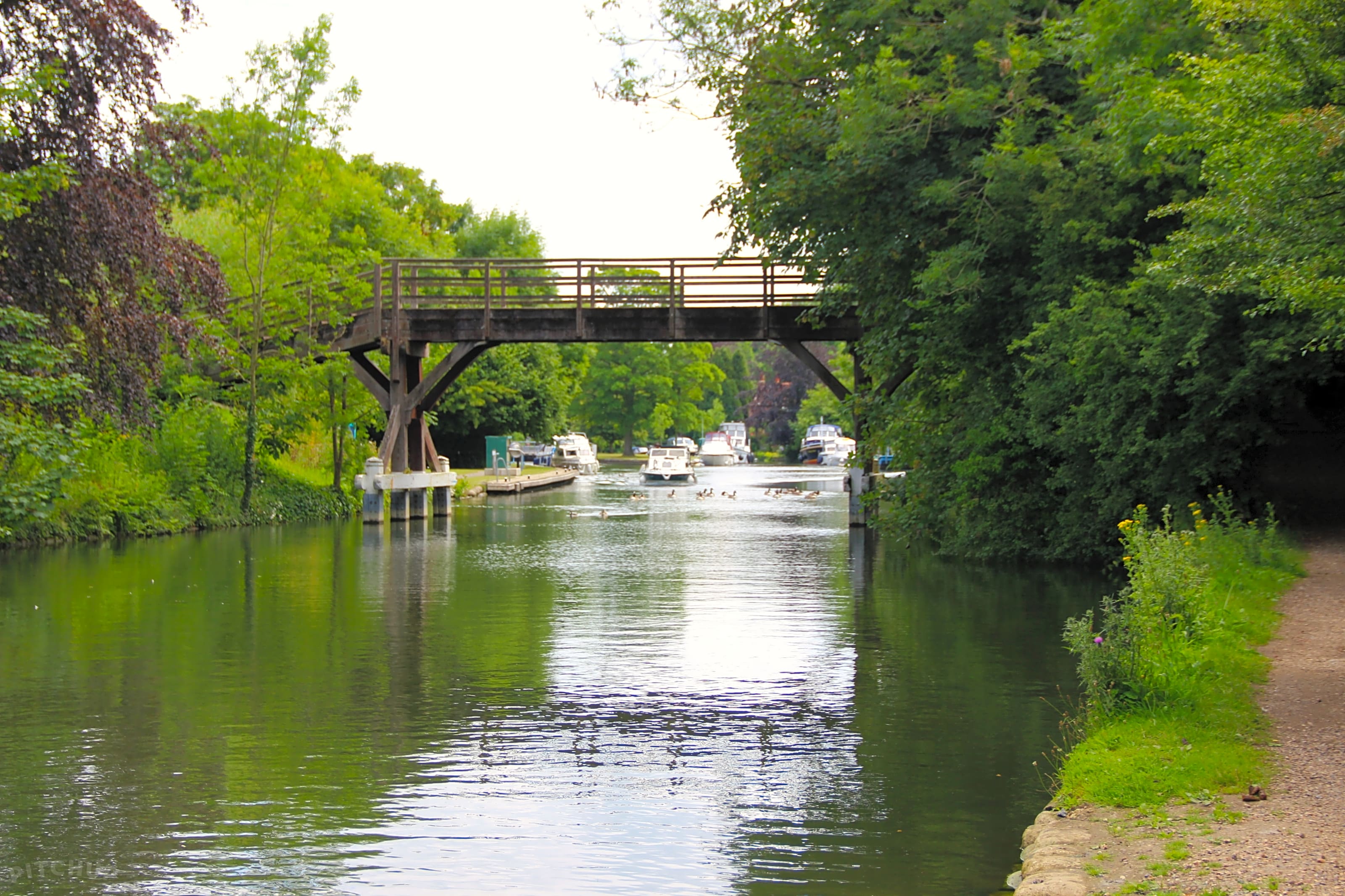 Hurley Riverside Park, Maidenhead Pitchup®