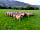Setmabanning Caravan Park