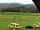 Rosebud Meadow: Beautiful view