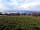 Monkhopton Meadow Camping: Pitches (photo added by manager on 19/07/2023)