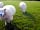 Bow Laithe Caravan Site: The family sheep (photo added by manager on 15/04/2021)