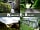 Wyldwoods Eco Retreat: New Wyldwoods postcards