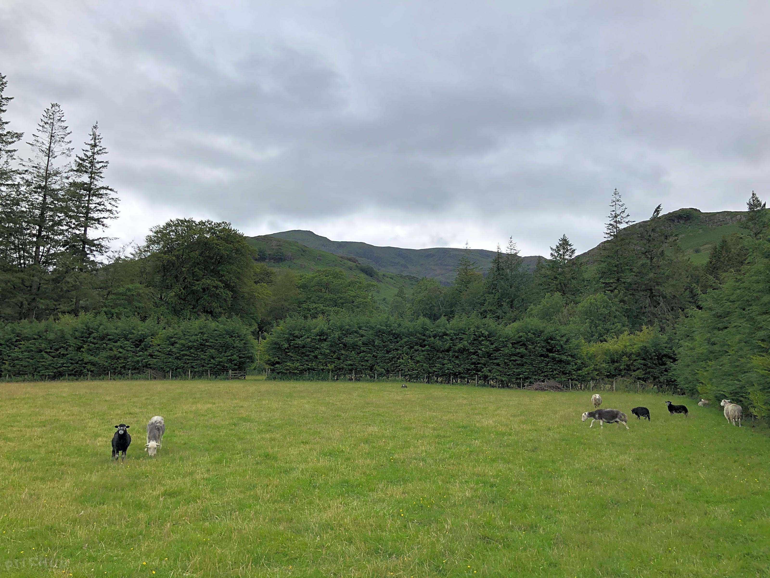 Coniston Village, Coniston Pitchup®