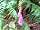 Dare Valley Country Park: Dare Valley Country Park