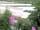 Vakantiepark 't Witven: Electric hardstanding and grass pitches (photo added by manager on 27/07/2019)