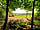 Ashcombe Woodland Campsite: View from campsite woods