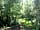 Lupine Woods Camping