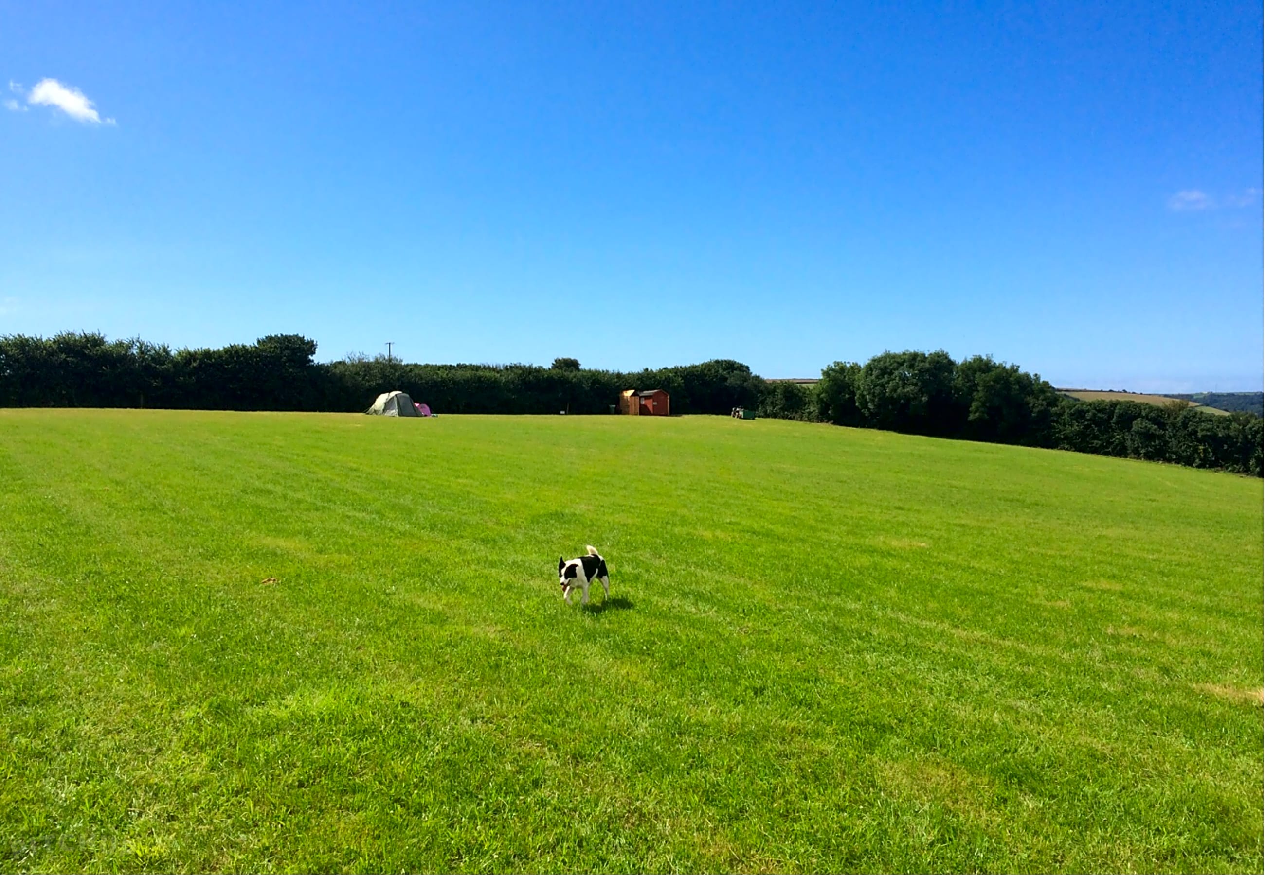 Wilton Farm, Kingsbridge Updated 2020 prices Pitchup®