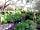 Coastal Valley Camp and Crafts: Stream
