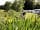 Waters Edge Caravan Park