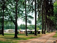 Grass pitches with trees all around Grass pitches with trees all around