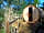 Acorn Camping and Glamping: Canadian Redwood cedar barrel sauna in the wellbeing area
