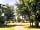 The Alders Caravan Park: Summertime at the site