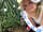 Bozedown Boltholes: Fairy den in the oak tree ring (photo added by manager on 29/06/2022)
