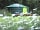 Redwood Valley - Woodland Cabin and Yurts: Yurt in the summer wildflower meadow