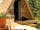 The Hen's Dens at Orchard Organic Farm: Relax outside the pod