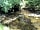 Kings Youth Hostel: While away the day by the river enjoying the wildlife